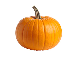 A vibrant orange pumpkin with a textured and a curved stem, perfect for autumn decorations and harvest celebrations.