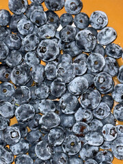 Fresh Blueberries Close-up