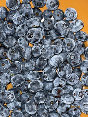 High-resolution close-up of fresh blueberries with natural texture and vibrant color. Perfect for food design, nutrition themes, backgrounds, and healthy lifestyle projects.