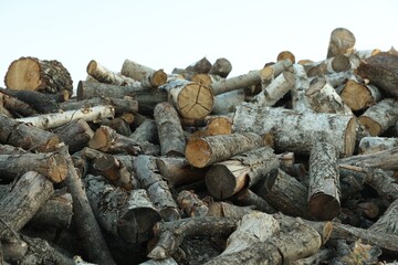 Pile of cut firewood outdoors, closeup view