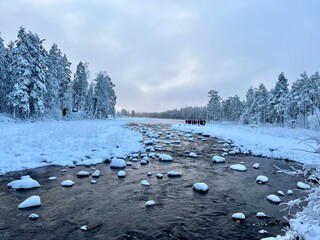 snow covered trees