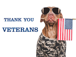 Veterans Day. Adorable dog, American Flag and congratulatory inscription. Thank You Veterans. Closeup, indoors. Studio shot. Congratulations for family, relatives, loved ones, friends and colleagues