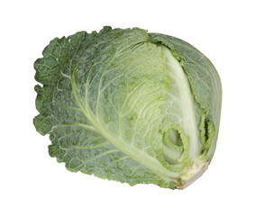 Fototapeta premium One fresh Savoy cabbage isolated on white