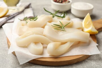 Uncooked squid rings and spices on grey table, closeup