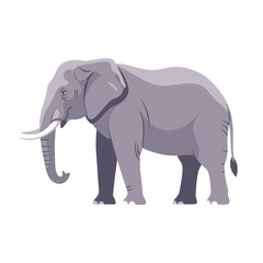 Fototapeta premium Flat design vector illustration of a grey elephant with prominent tusks, depicted in a side view, isolated on a white background, representing wildlife