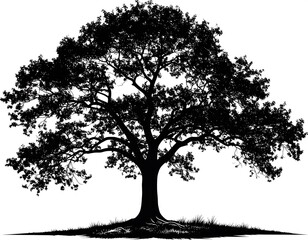 Silhouetted majestic tree