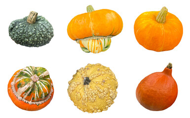 Collection of colorful decorative pumpkins isolated on transparent background. Various shapes and textures of gourds for autumn, harvest, Halloween and Thanksgiving design.