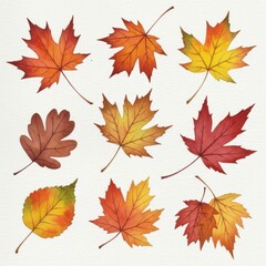 Collection of watercolor autumn maple leaves in various colors and shapes, isolated on white background