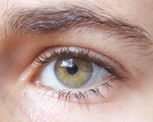 Fototapeta premium Ojo verde