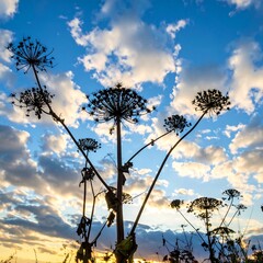 Silhouetted plants against a vibrant sunset sky