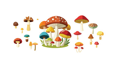 Colorful Collection of Various Mushrooms and Toadstools Illustration