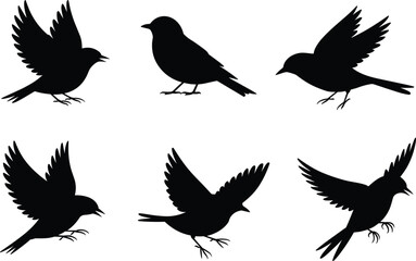 Bird silhouettes in flight, perched birds, flying bird shapes, wildlife silhouettes, black bird icons, avian design elements, nature illustration art