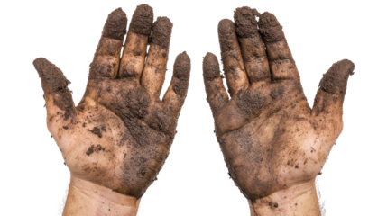 Close-up of a pair of dirty, rugged hands with palms facing up, covered in soil, grease, or grime. png