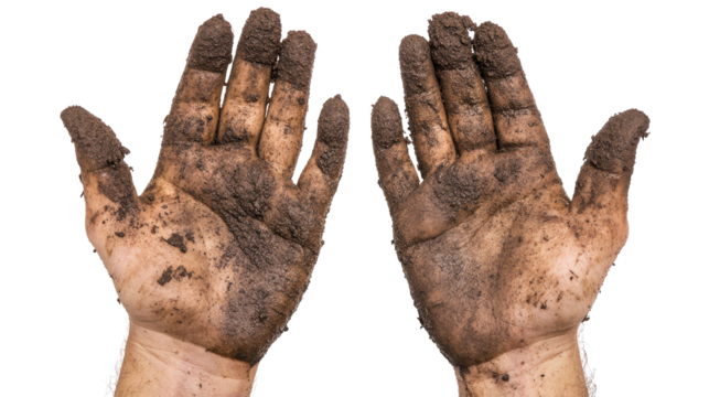 Close-up of a pair of dirty, rugged hands with palms facing up, covered in soil, grease, or grime.  png