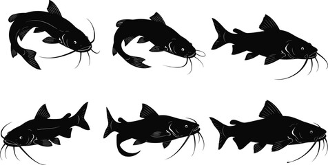 Silhouette catfish collection, freshwater fish illustration, aquatic animal design, fishing concept, underwater wildlife, black vector art, biology reference, nature
