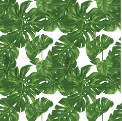 Seamless tropical monstera leaf pattern illustration with lush green foliage, perfect for textile, wallpaper, fabric design, background, and summer decoration.