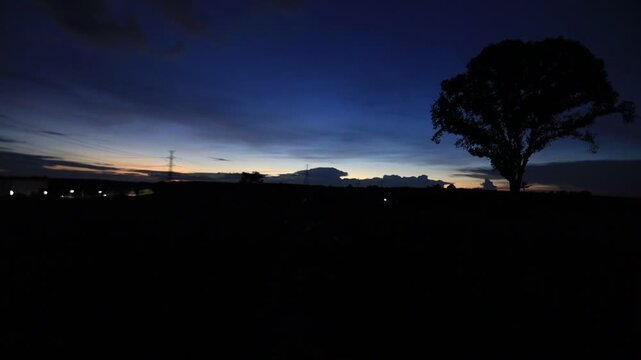 Natural video background of various trees growing along the edge of a large reservoir, with a cool breeze, colorful twilight sky, and the richness of the forest system.