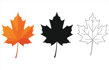 Vector art of three maple leaves, one in full color, one in black silhouette, and one in outline, perfect for autumn, canada, or naturethemed designs