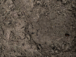 soil in the ground