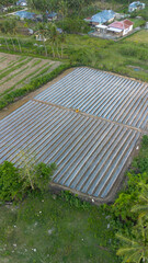 Aerial View of Agricultural Field in Gorontalo, Indonesia