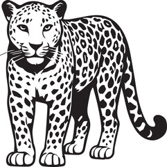 Black and White Leopard Illustration – Hand Drawn Wild Animal Vector Art