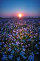 Enchanted Twilight Dreamscape