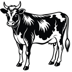 cow on white background