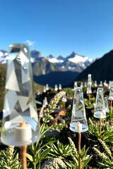 Mystical Valleys of Eternal Wonder