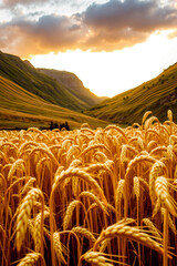 Mystical Valleys of Eternal Wonder