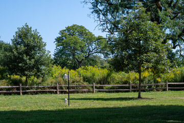 Lush green park with wooden fence and clear blue sky
