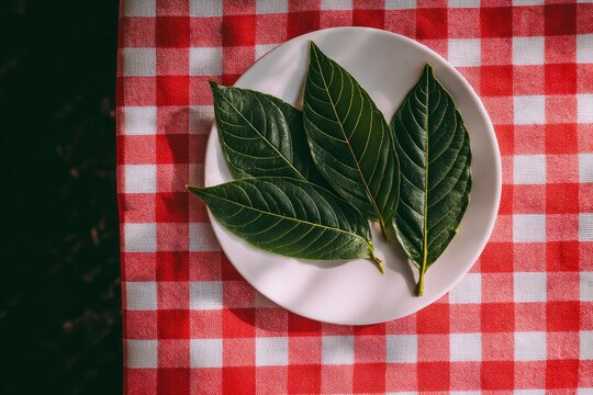 Four green leaves arranged on a white plate set on a red  white checkered tablecloth