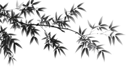 bamboo vector illustration png