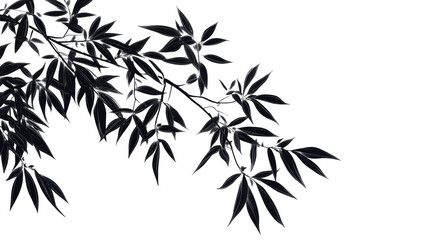 Naklejka premium bamboo vector illustration png