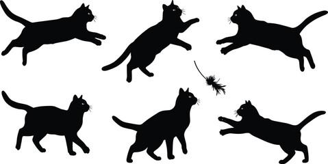 Cat silhouette, playful poses, jumping and reaching motion, feather interaction, feline agility, pet behavior, black figure, white background, minimal design
