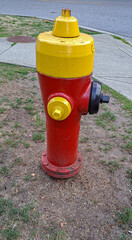 hidrante em rua de Vancouver, Canadá