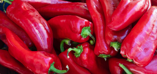Chili peppers on the grocery store counter.