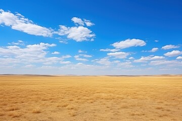 Golden grassland under bright blue sky with scattered clouds steppe meadow