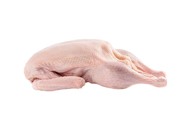 Raw and uncooked whole duck, closeup object. Isolated on transparent background
