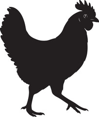 Elegant ayam cemani chicken silhouette vector illustration