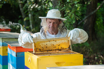 A beekeeper inspecting a full frame with honey, bees crawling on it. A beekeeper in a white suit and hat inspects a frame of honeycomb, standing in front of a yellow beehive with a smoker nearby