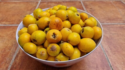 loquats collect sweet orange fruit