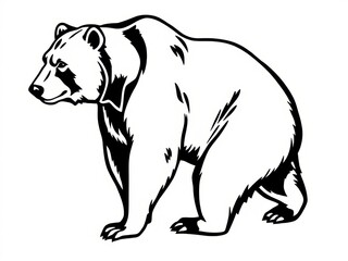 Illustration of a standing grizzly bear in detailed line art  