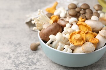 Different raw mushrooms in bowl on grey textured table, closeup. Space for text