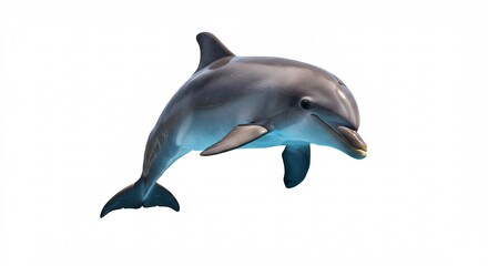 Fototapeta premium Playful dolphin leaps gracefully through clear water against bright white background. AI Generated