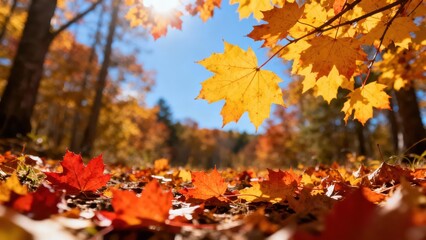 Vibrant autumn foliage blankets the forest floor, with golden and crimson leaves cascading down from the trees under a bright blue sky.