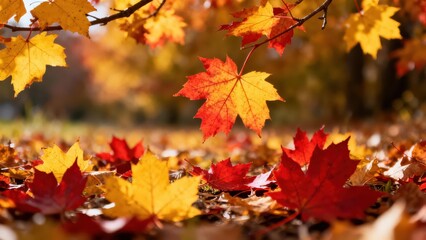 Vibrant autumnal leaves, a tapestry of reds and yellows, carpet the ground beneath a canopy of trees, showcasing the beauty of fall.