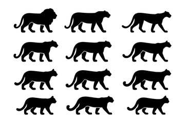 Set of twelve big cat silhouettes: lions, tigers, and panthers in profile view
