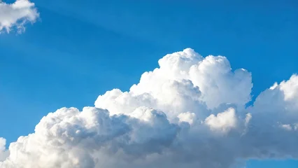 A vast expanse of a vibrant blue sky is filled with fluffy white cumulus clouds, showcasing a serene and peaceful atmosphere. © ibhonk