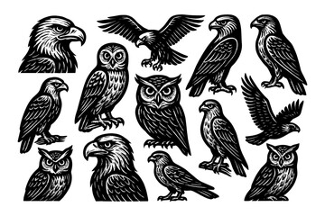 Naklejka premium Monochrome bird set featuring eagles, owls, and hawks with detailed designs