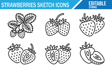Fresh Strawberries Line Drawings for Healthy Lifestyle and Organic Food